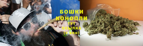 PSILOCYBIN Зеленодольск