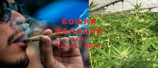 PSILOCYBIN Зеленодольск